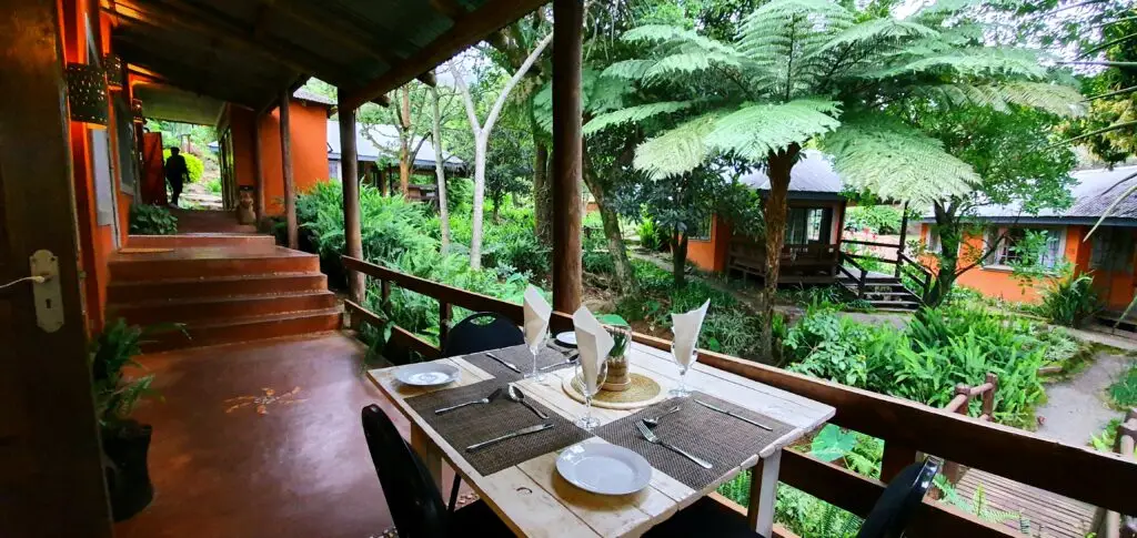 Lidwala Lodge offers a peaceful escape amidst lush greenery and majestic mountains